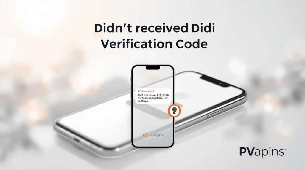 Smartphone screen showing DiDi OTP text not received